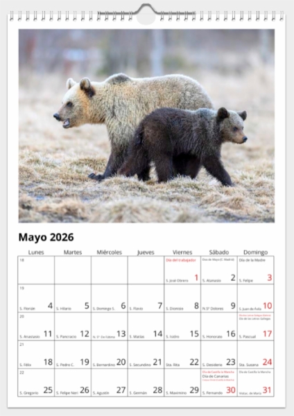 Calendario de pared doble A3 30x40 cm - COMPRANDO DOS LLÉVATELO POR SOLO 25,87 € - PASERIFORMES