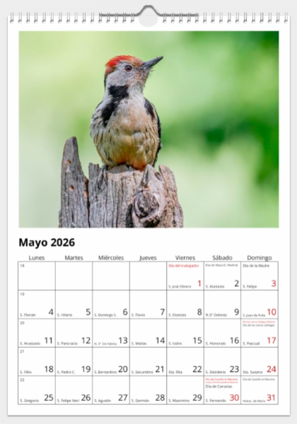 Calendario de pared doble A3 30x40 cm - COMPRANDO DOS LLÉVATELO POR SOLO 25,87 € - PASERIFORMES