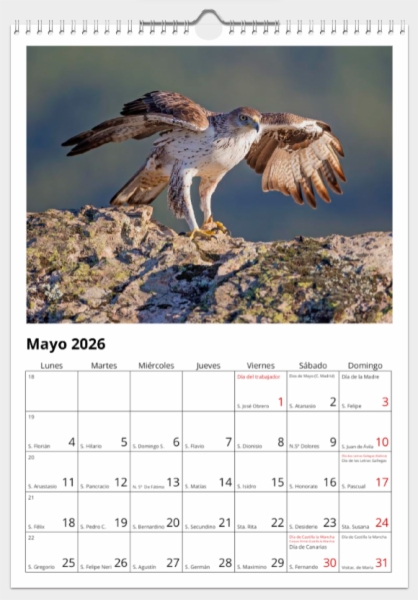 Calendario de pared doble A3 30x40 cm - COMPRANDO DOS LLÉVATELO POR SOLO 25,87 € - PASERIFORMES