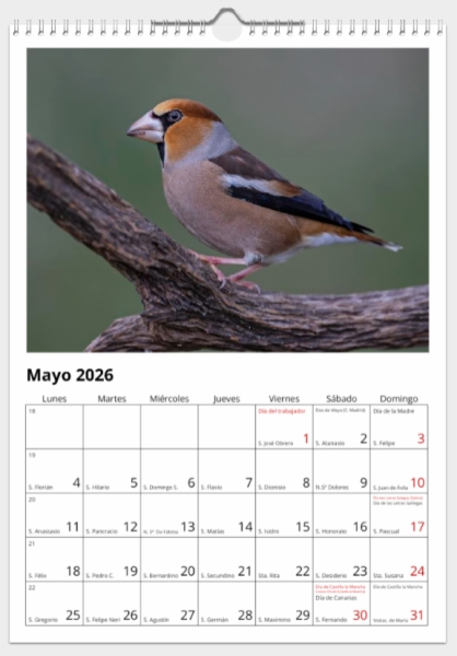 Calendario de pared doble A3 30x40 cm - COMPRANDO DOS LLÉVATELO POR SOLO 25,87 € - PASERIFORMES