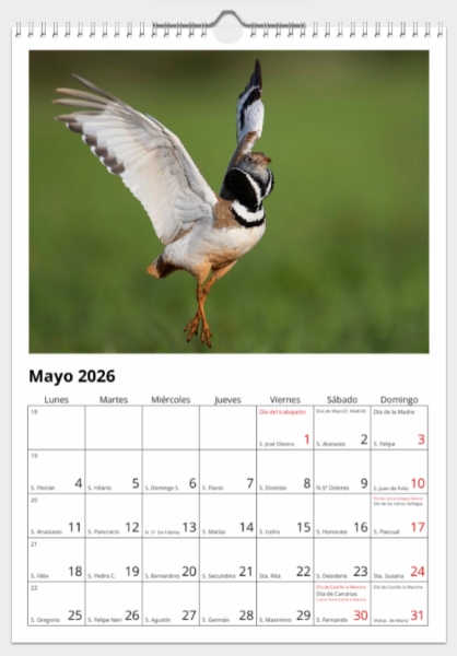 Calendario de pared doble A3 30x40 cm - COMPRANDO DOS LLÉVATELO POR SOLO 25,87 € - OTRAS AVES