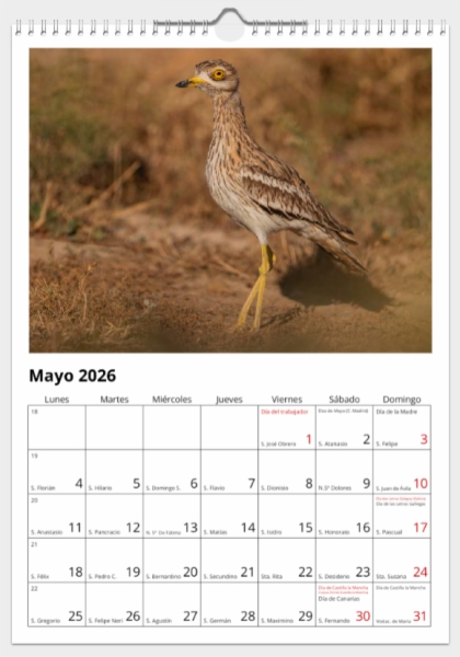 Calendario de pared doble A3 30x40 cm - COMPRANDO DOS LLÉVATELO POR SOLO 25,87 € - LIMÍCOLAS