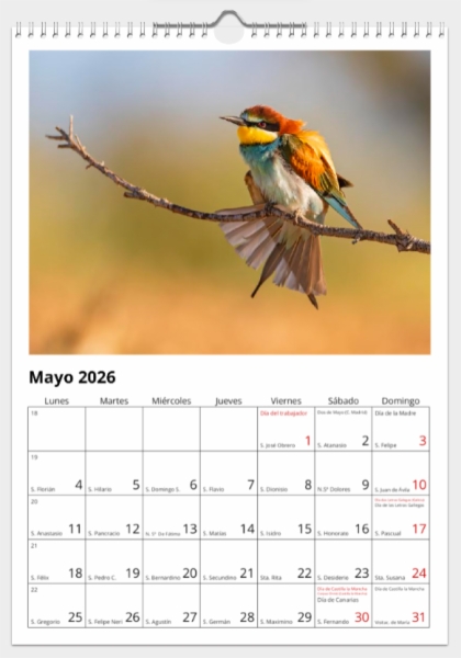 Calendario de pared doble A3 30x40 cm - COMPRANDO DOS LLÉVATELO POR SOLO 25,87 € - DIVERSOS - 1