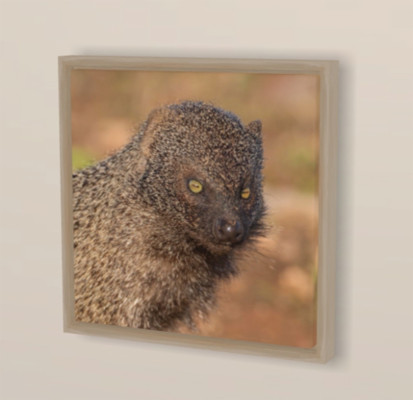 Fotografía:Cuadros - Lienzo en Soporte Madera Natural 30x30 incluido en el precio el kit de colgado, transporte e IVA. (Más Info. en 