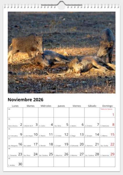 Calendario de pared doble A3 30x40 cm - COMPRANDO DOS LLÉVATELO POR SOLO 25,87 € - PASERIFORMES