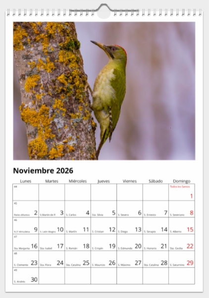 Calendario de pared doble A3 30x40 cm - COMPRANDO DOS LLÉVATELO POR SOLO 25,87 € - PASERIFORMES