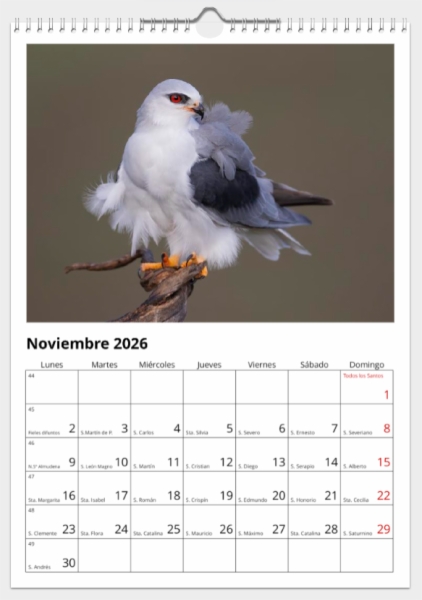Calendario de pared doble A3 30x40 cm - COMPRANDO DOS LLÉVATELO POR SOLO 25,87 € - PASERIFORMES