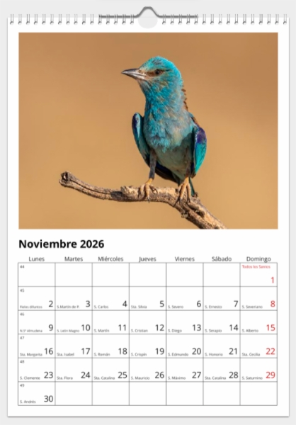 Calendario de pared doble A3 30x40 cm - COMPRANDO DOS LLÉVATELO POR SOLO 25,87 € - DIVERSOS - 1