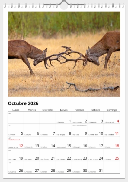 Calendario de pared doble A3 30x40 cm - COMPRANDO DOS LLÉVATELO POR SOLO 25,87 € - PASERIFORMES