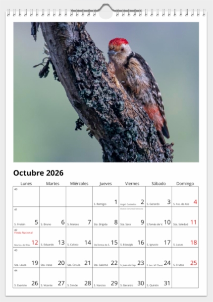 Calendario de pared doble A3 30x40 cm - COMPRANDO DOS LLÉVATELO POR SOLO 25,87 € - PASERIFORMES