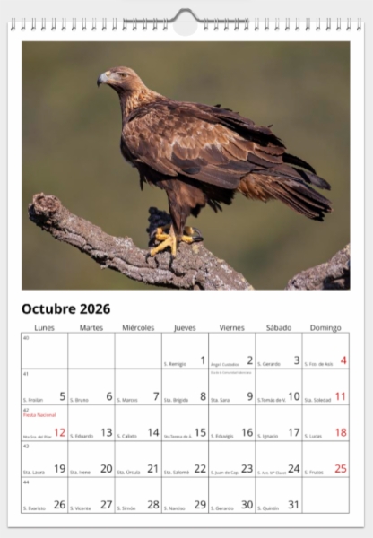 Calendario de pared doble A3 30x40 cm - COMPRANDO DOS LLÉVATELO POR SOLO 25,87 € - PASERIFORMES