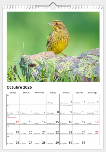 Calendario de pared doble A3 30x40 cm - COMPRANDO DOS LLÉVATELO POR SOLO 25,87 € - PASERIFORMES