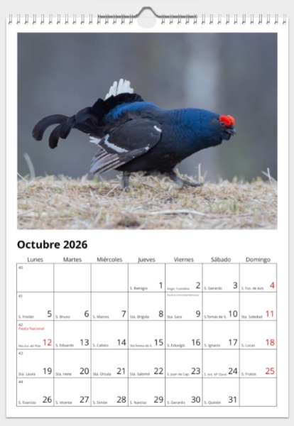 Calendario de pared doble A3 30x40 cm - COMPRANDO DOS LLÉVATELO POR SOLO 25,87 € - OTRAS AVES
