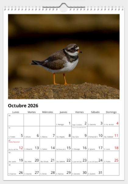 Calendario de pared doble A3 30x40 cm - COMPRANDO DOS LLÉVATELO POR SOLO 25,87 € - LIMÍCOLAS