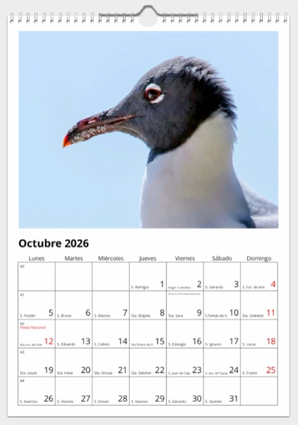 Calendario de pared doble A3 30x40 cm - COMPRANDO DOS LLÉVATELO POR SOLO 25,87 € - DIVERSOS - 1