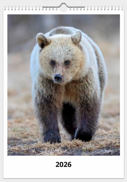 Fotografía:Calendario de pared doble A3 30x40 cm - COMPRANDO DOS LLÉVATELO POR SOLO 25,87 € - MAMÍFEROS -