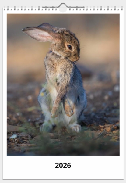 Calendario de pared doble A3 30x40 cm - COMPRANDO DOS LLÉVATELO POR SOLO 25,87 € - DIVERSOS - 1