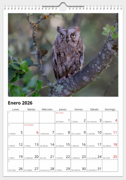 Calendario de pared doble A3 30x40 cm - COMPRANDO DOS LLÉVATELO POR SOLO 25,87 € - PASERIFORMES