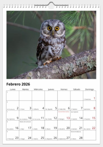 Calendario de pared doble A3 30x40 cm - COMPRANDO DOS LLÉVATELO POR SOLO 25,87 € - PASERIFORMES