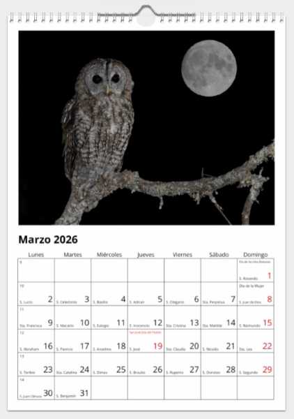 Calendario de pared doble A3 30x40 cm - COMPRANDO DOS LLÉVATELO POR SOLO 25,87 € - PASERIFORMES