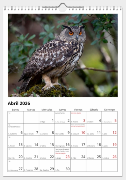 Calendario de pared doble A3 30x40 cm - COMPRANDO DOS LLÉVATELO POR SOLO 25,87 € - PASERIFORMES