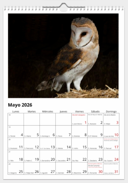Calendario de pared doble A3 30x40 cm - COMPRANDO DOS LLÉVATELO POR SOLO 25,87 € - PASERIFORMES