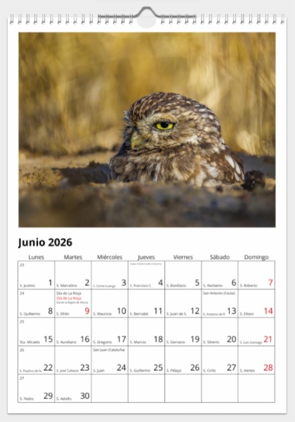 Calendario de pared doble A3 30x40 cm - COMPRANDO DOS LLÉVATELO POR SOLO 25,87 € - PASERIFORMES