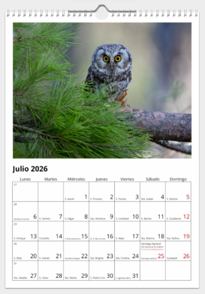 Calendario de pared doble A3 30x40 cm - COMPRANDO DOS LLÉVATELO POR SOLO 25,87 € - PASERIFORMES