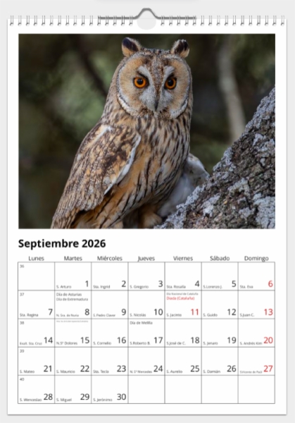 Calendario de pared doble A3 30x40 cm - COMPRANDO DOS LLÉVATELO POR SOLO 25,87 € - PASERIFORMES