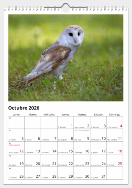 Calendario de pared doble A3 30x40 cm - COMPRANDO DOS LLÉVATELO POR SOLO 25,87 € - PASERIFORMES