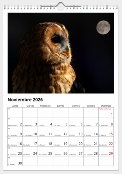 Calendario de pared doble A3 30x40 cm - COMPRANDO DOS LLÉVATELO POR SOLO 25,87 € - PASERIFORMES