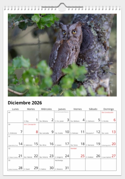 Calendario de pared doble A3 30x40 cm - COMPRANDO DOS LLÉVATELO POR SOLO 25,87 € - PASERIFORMES