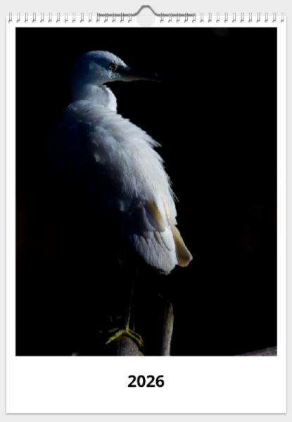 Fotografía:Calendario de pared doble A3 30x40 cm - COMPRANDO DOS LLÉVATELO POR SOLO 25,87 € - CLAVES BAJA Y ALTA