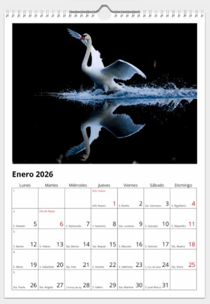 Calendario de pared doble A3 30x40 cm - COMPRANDO DOS LLÉVATELO POR SOLO 25,87 € - PASERIFORMES