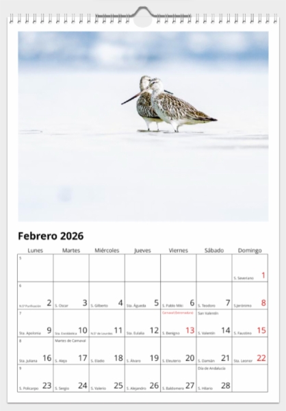 Calendario de pared doble A3 30x40 cm - COMPRANDO DOS LLÉVATELO POR SOLO 25,87 € - PASERIFORMES