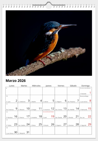 Calendario de pared doble A3 30x40 cm - COMPRANDO DOS LLÉVATELO POR SOLO 25,87 € - PASERIFORMES
