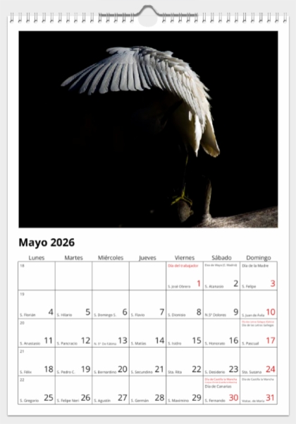 Calendario de pared doble A3 30x40 cm - COMPRANDO DOS LLÉVATELO POR SOLO 25,87 € - PASERIFORMES