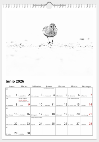 Calendario de pared doble A3 30x40 cm - COMPRANDO DOS LLÉVATELO POR SOLO 25,87 € - PASERIFORMES