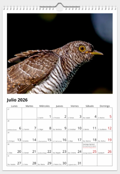 Calendario de pared doble A3 30x40 cm - COMPRANDO DOS LLÉVATELO POR SOLO 25,87 € - PASERIFORMES