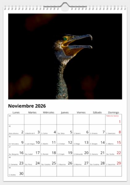 Calendario de pared doble A3 30x40 cm - COMPRANDO DOS LLÉVATELO POR SOLO 25,87 € - PASERIFORMES