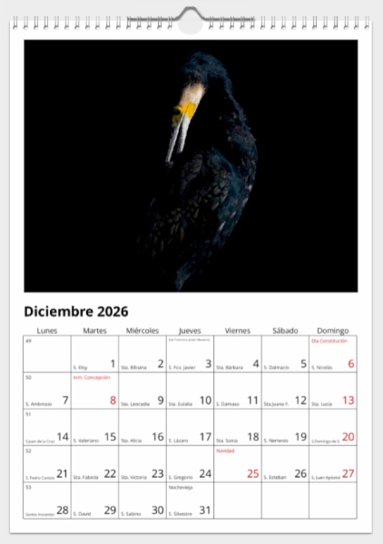 Calendario de pared doble A3 30x40 cm - COMPRANDO DOS LLÉVATELO POR SOLO 25,87 € - PASERIFORMES
