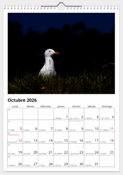 Calendario de pared doble A3 30x40 cm - COMPRANDO DOS LLÉVATELO POR SOLO 25,87 € - PASERIFORMES