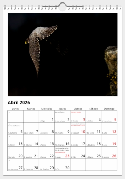 Calendario de pared doble A3 30x40 cm - COMPRANDO DOS LLÉVATELO POR SOLO 25,87 € - PASERIFORMES