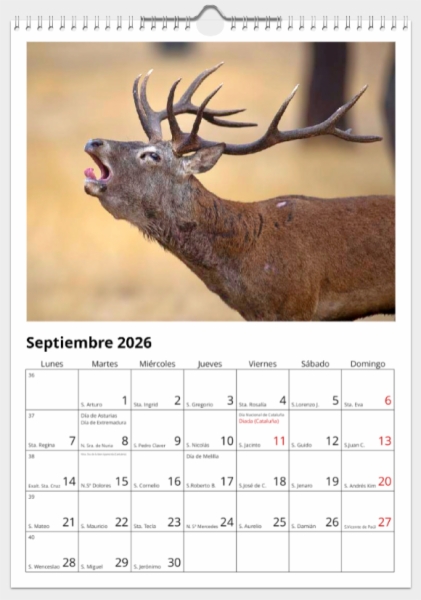 Calendario de pared doble A3 30x40 cm - COMPRANDO DOS LLÉVATELO POR SOLO 25,87 € - PASERIFORMES