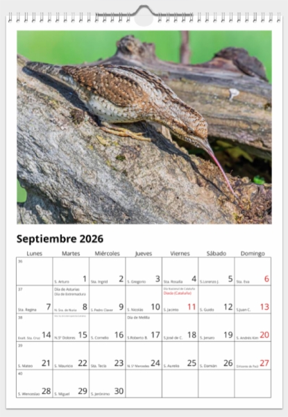 Calendario de pared doble A3 30x40 cm - COMPRANDO DOS LLÉVATELO POR SOLO 25,87 € - PASERIFORMES