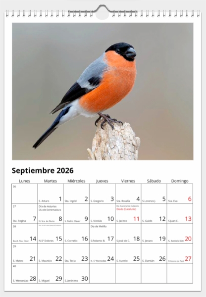 Calendario de pared doble A3 30x40 cm - COMPRANDO DOS LLÉVATELO POR SOLO 25,87 € - PASERIFORMES