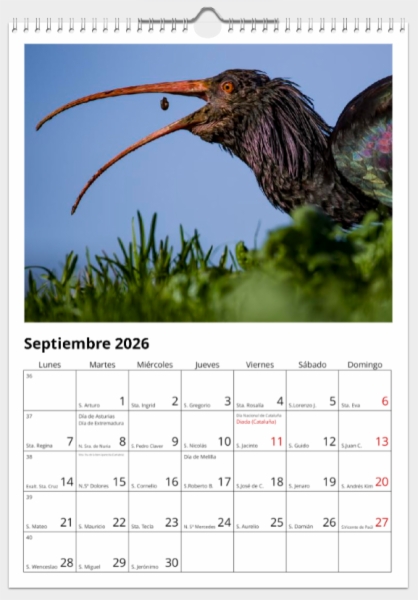 Calendario de pared doble A3 30x40 cm - COMPRANDO DOS LLÉVATELO POR SOLO 25,87 € - OTRAS AVES
