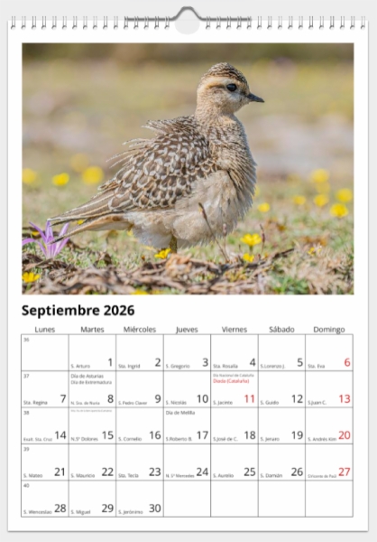 Calendario de pared doble A3 30x40 cm - COMPRANDO DOS LLÉVATELO POR SOLO 25,87 € - LIMÍCOLAS