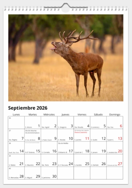 Calendario de pared doble A3 30x40 cm - COMPRANDO DOS LLÉVATELO POR SOLO 25,87 € - DIVERSOS - 1