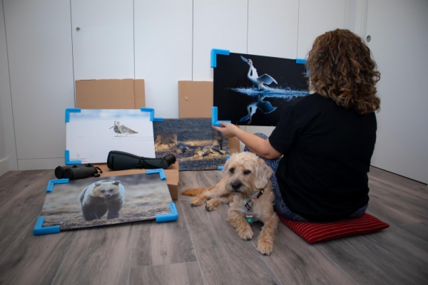 Lleva la Naturaleza a tus Espacios con Nuestro Arte Fotográfico